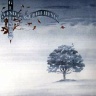 Wind & Wuthering - 1977