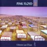 A Momentary Lapse of Reason - 1987