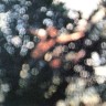 Obscured by Clouds - 1972